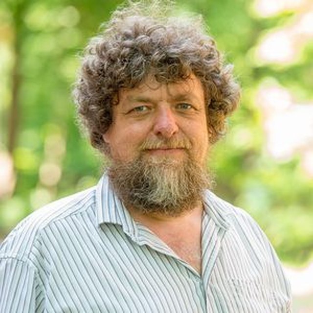 Helmut Hillebrand